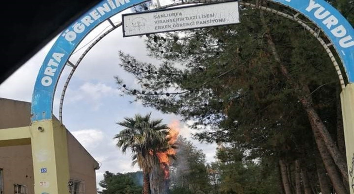 Öğrenci pansiyonu bahçesindeki ağaçlar ateşe verildi