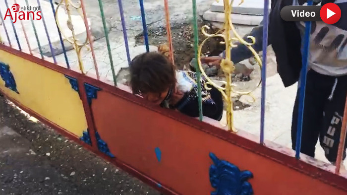 Şanlıurfa'da akılalmaz olay: İtfaiye ekipleri yardıma koştu