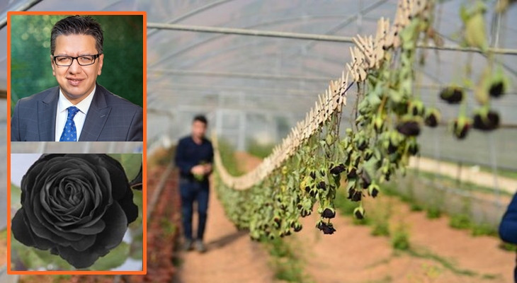 Urfa'ya has bir değer daha tescillendi