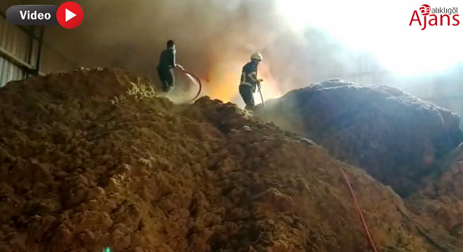 Şanlıurfa'da fabrika yangını