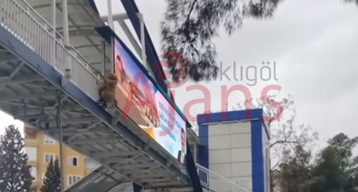 Urfa'da şok olay: Genç kız üst geçitten atlamak istedi