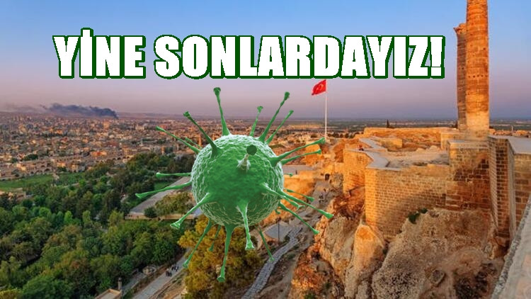 Urfa'da bir konuda daha son sıraları kaptı