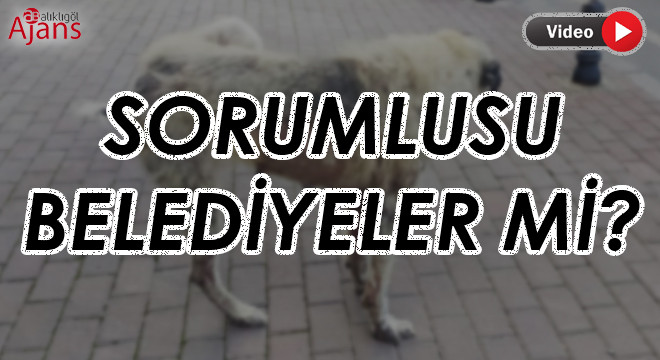 Şanlıurfa’da bu hastalık giderek yayılıyor!