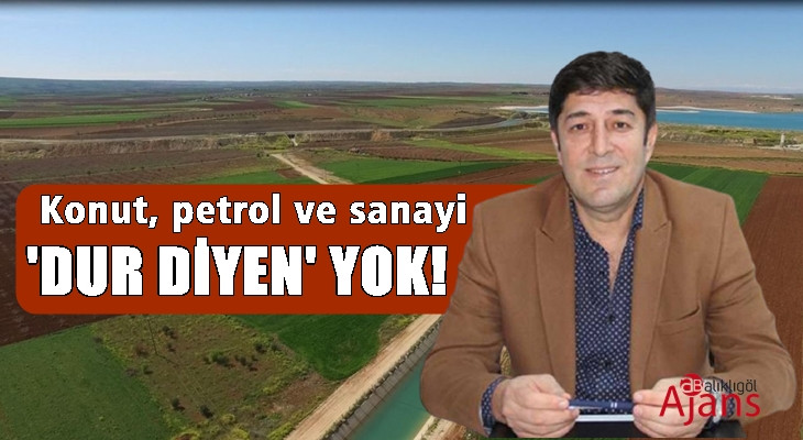 Urfa’da tehlike çanları çalıyor: Yok oluyor!