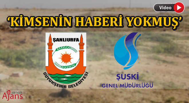 Şanlıurfa’da doğa katliamına herkes göz yummuş