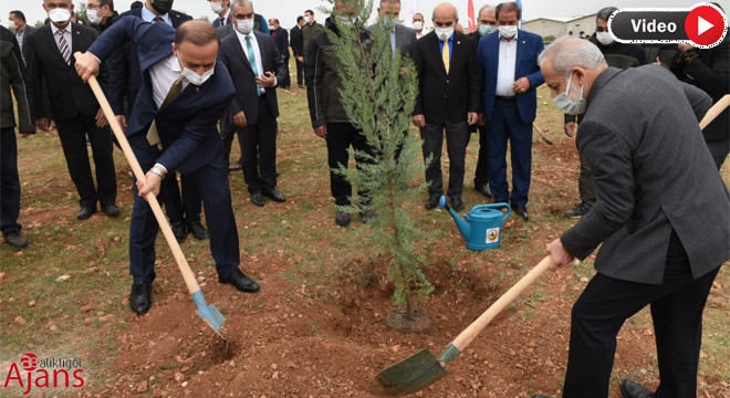 Fidan diken Vali Erin’den ‘ağaçlandırma’ açıklaması