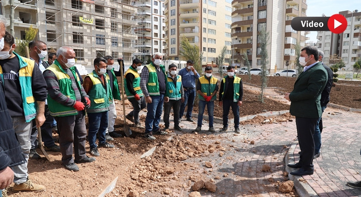 Metin Baydilli: Yeni parklarla ilçemizi yeşillendiriyoruz