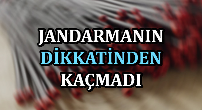 Sulama borularından bakın ne çıktı?