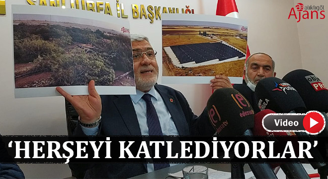 Yanmaz’dan Şanlıurfa’daki doğa katliamına sert tepki