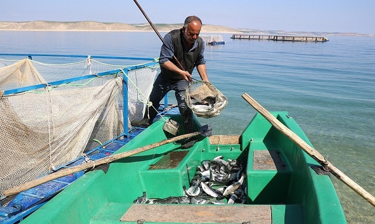 Balıkçılıkları belgesele konu oldu