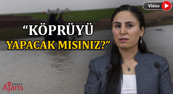 Şanlıurfa'daki 'köprü' talebi meclise taşındı