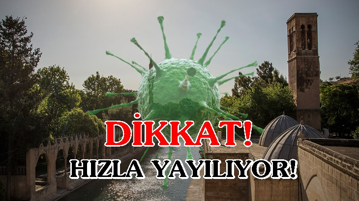 Bakanlık açıkladı: Urfa'da son durum ne?