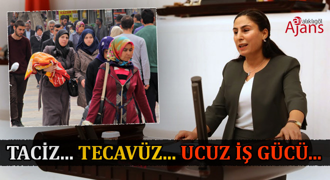 Şanlıurfa vekilinden mülteci kadınlar için araştırma önergesi