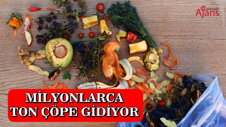 İnsanlar açlıktan ölürken devasa gıda israfı var