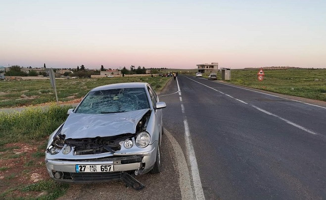 Ölüm yolunda yine kaza: Bir büyükbaş telef oldu