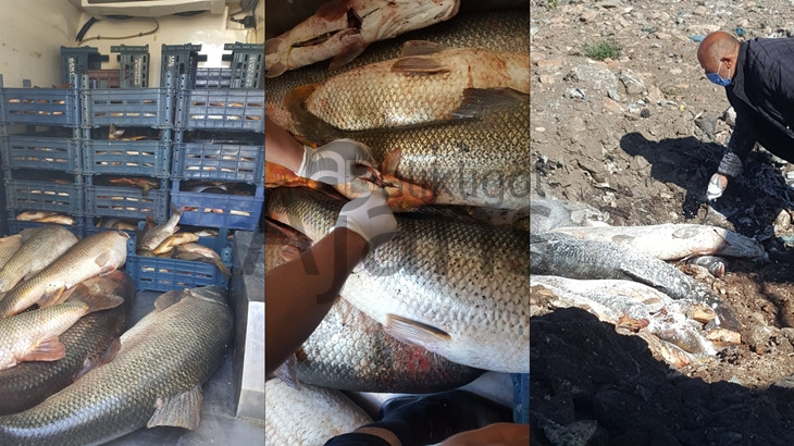 Bozova'da ele geçirildi: 450 kilo imha edildi