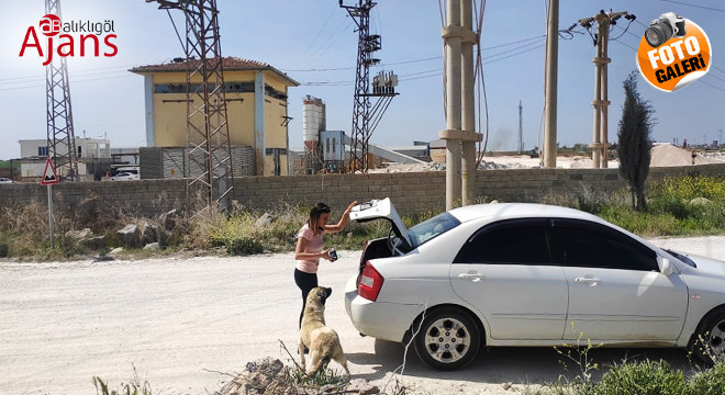 Viranşehir’de yardım çağrısı