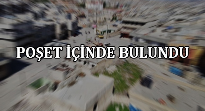 Şanlıurfa’da kan donduran olay