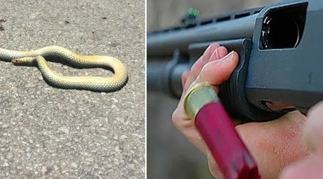 Urfa'da tüfekten çıkan saçmalar 5 çocuğu yaraladı