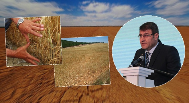 Hikmet İpar: GAP bitmiş olsaydı verimi konuşacaktık