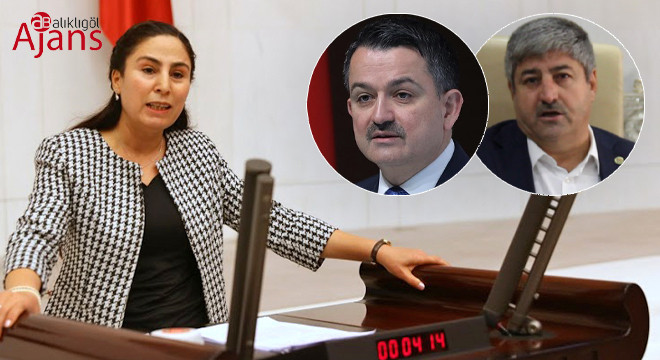 Sürücü ‘çağrıya cevap verecek misiniz’ diye sordu