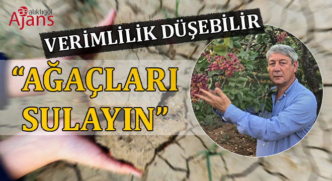 Şanlıurfa'daki üreticiye önemli çağrı