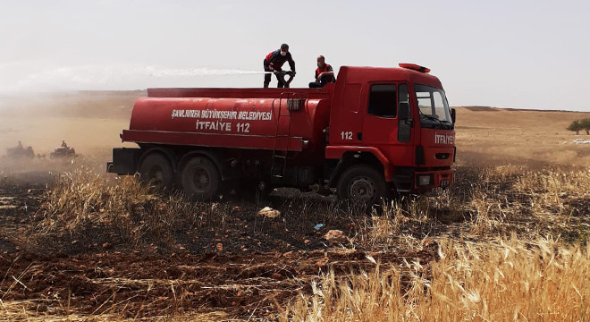 Suruç'ta arpa ekili tarlada yangın