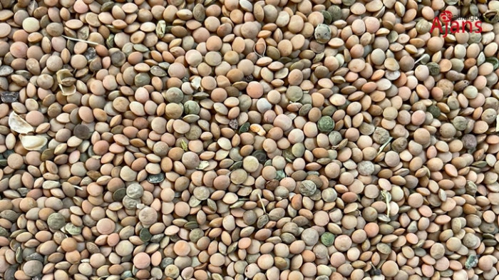 Kırmızı mercimekte ilk mahsul piyasaya girdi