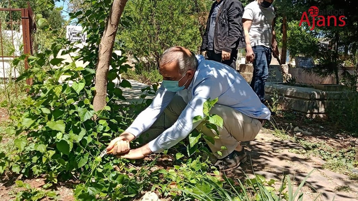 Belediye başkanı mezarlıktaki ağaçları budadı