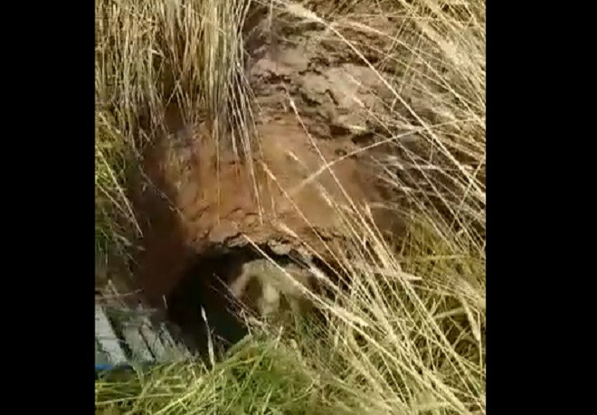 Düştüğü kuyudan itfaiye ekipleri çıkardı