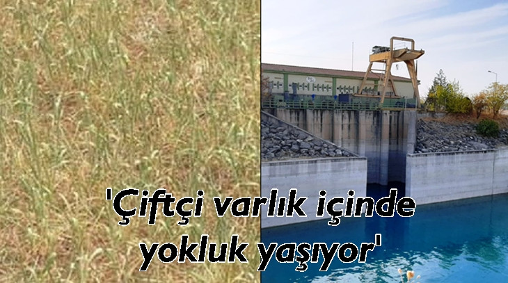 Urfa çiftçisinin kaybı büyük oldu
