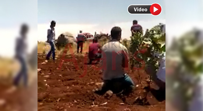 Suruç'ta facia: Traktörün altında kalan çiftçi hayatını kaybetti