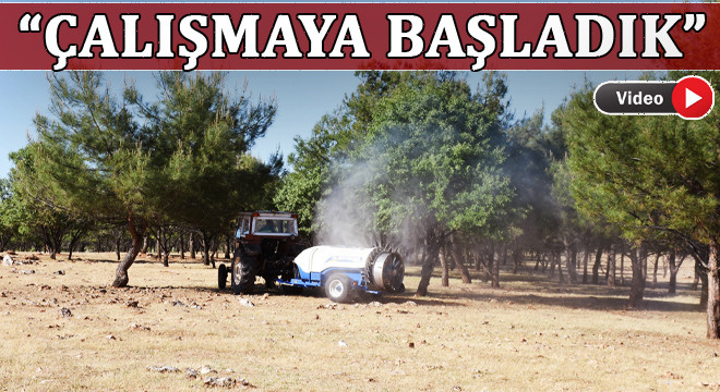 Belediyeden istilaya uğrayan ormanla ilgili açıklama