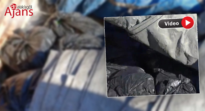 Şanlıurfa’da durdurulan TIR’da bakın neler çıktı