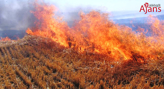 Şanlıurfa’da tarlasını ateşe verenler yandı