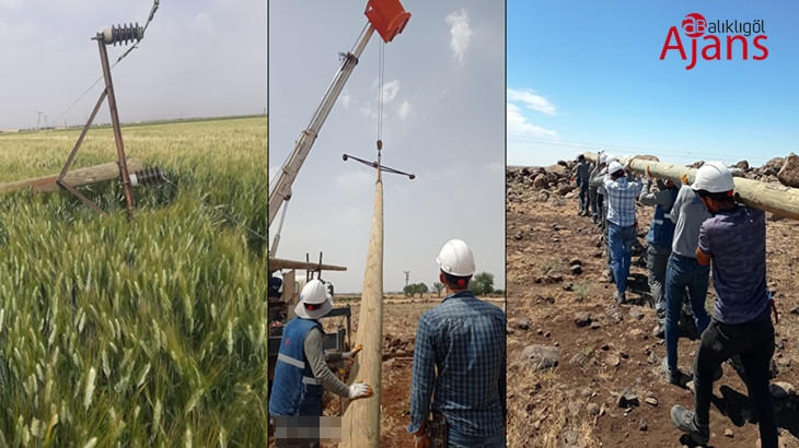 Şanlıurfa’da fırtınanın yıktığı elektrik şebekesi onarılıyor