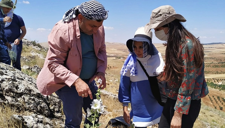 Göbeklitepe’nin zengin bitki çeşitliliği araştırılıyor