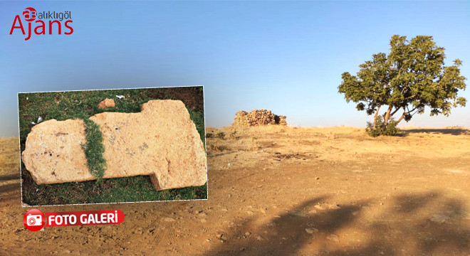 Göbeklitepe’nin gizemi bu kazı ile çözülebilir!