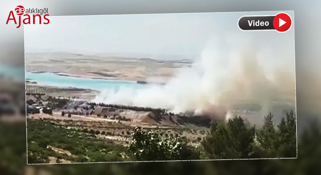 Şanlıurfa'da ormanlık alanda yangın