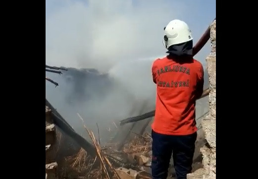 Viranşehir’de yangın!