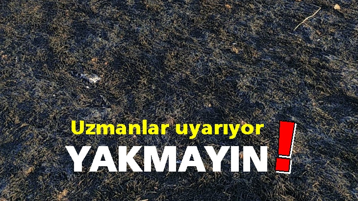 Ali Rıza Öztürkmen: Anız yakmayın!