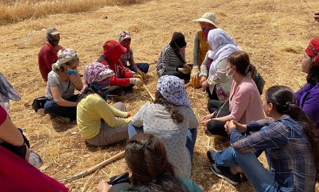 Tarlada çalışan kadınlarla bir araya geldiler