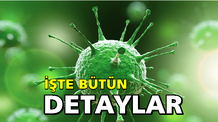 İçişleri Bakanlığı normalleşme takvimini yayımladı