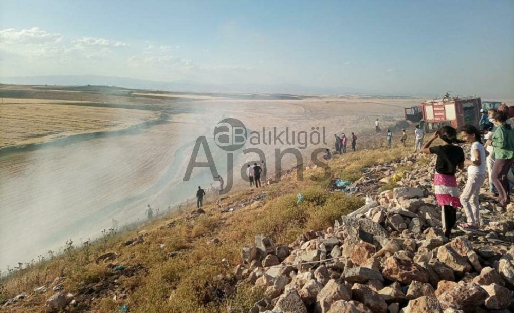 Şanlıurfa’da kıraç alanda yangın