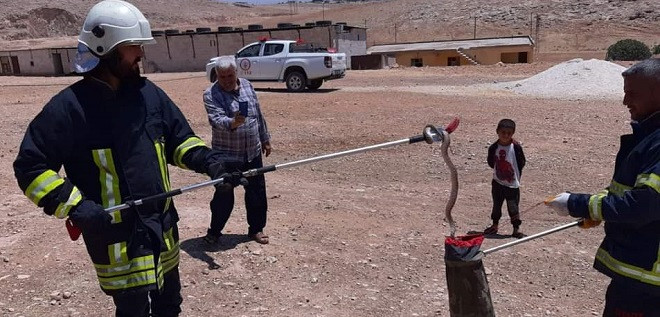 Havalar ısındı! Evlere giriyorlar