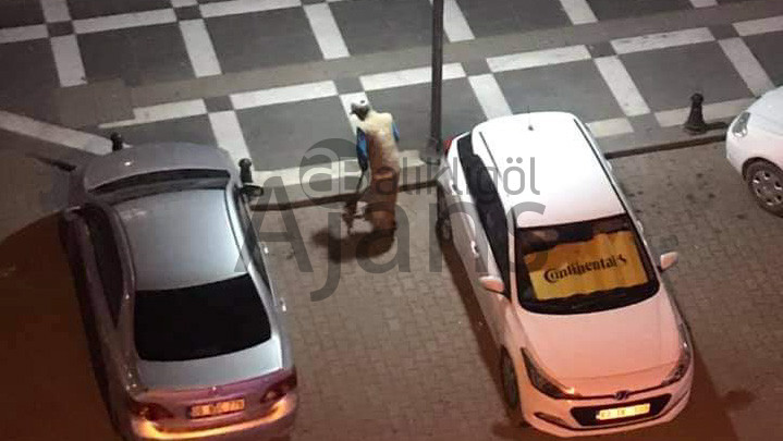 Urfa'da, temizlik işçisi yaptıklarıyla gündem oldu