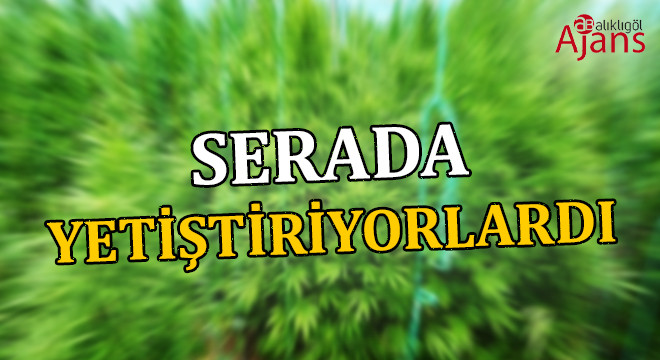 Şanlıurfa’da uyuşturucu operasyonu