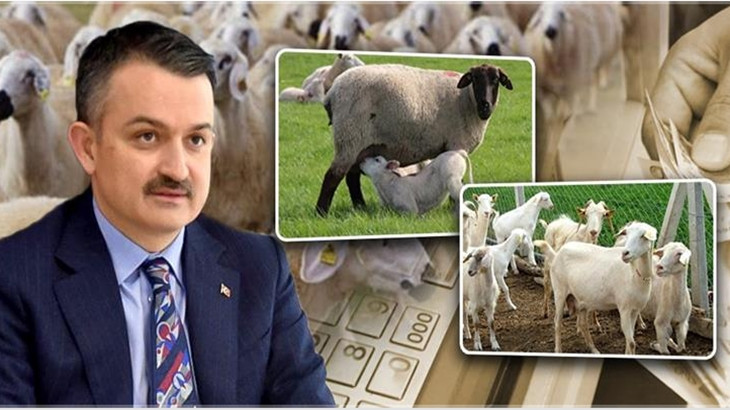 Bakan açıkladı: Hafta içinde hesaplara yatacak