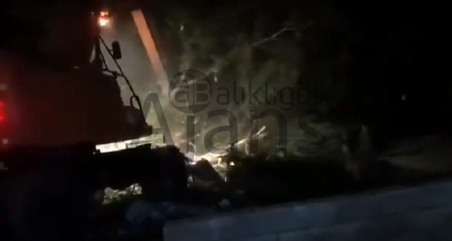 Şanlıurfa'da ağaçlar 'çatır çatır' ranta mı kurban ediliyor?