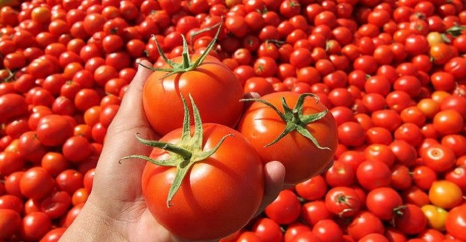 Şanlıurfa ilk 10 arasında!